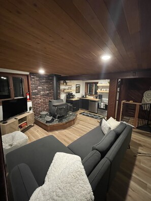 Smart TV, fireplace, books