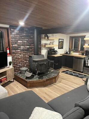 Smart TV, fireplace, books