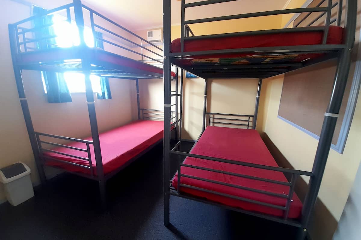 A dormitory room with bunk beds, a small trash bin, and a window.