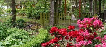 Gîte Chalet "Belle-Etoile" Touraine Anjou (with swimming pool 10x4)
