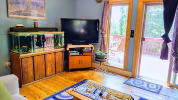 Televisie, een open haard en boeken