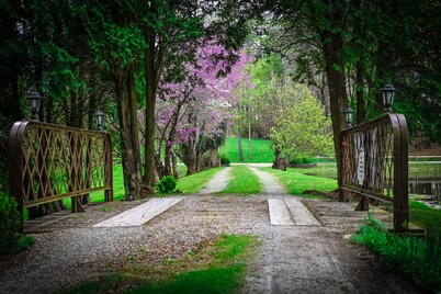 We are a quiet ranch home that sits on 8 acres with firepit, pond and bar.