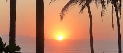 كراسي للتشمس