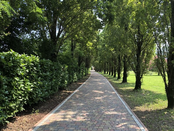 A paved pathway lined with trees and bushes, leading to a grassy area.