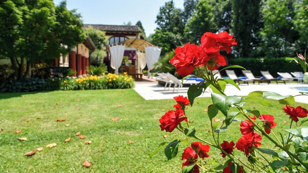 Un jardín con flores rojas, una zona de piscina y un edificio con techo tradicional.