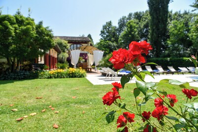 Venice Park
