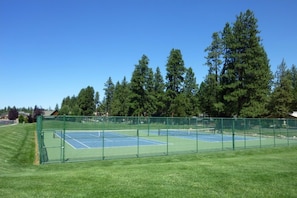 Una pista de tennis envoltada per una tanca verda i arbres.