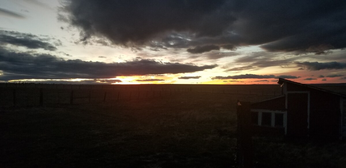 オーナーのプロフィール画像