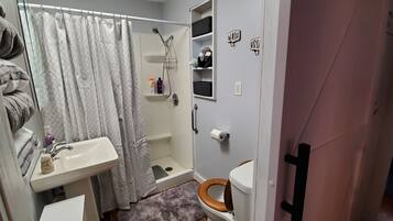 Shower, hair dryer, towels, soap