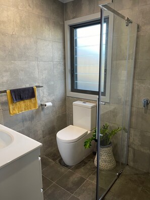 Shower, hair dryer, towels, soap