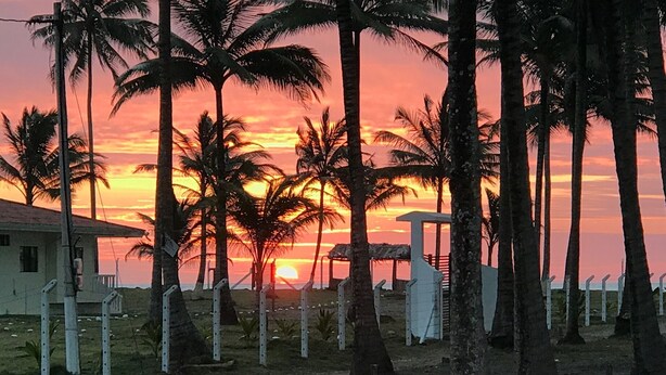 Une vue au coucher du soleil, avec des palmiers et un bâtiment au premier plan.