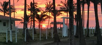 Palmeral de Cojimies-Vía Pedernales Manabí