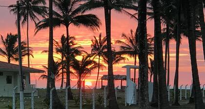 Palmeral de Cojimies-VĂa Pedernales ManabĂ