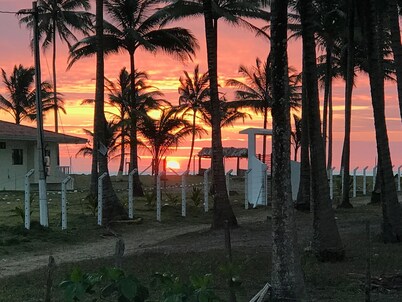 Palmeral de Cojimies-Vía Pedernales Manabí