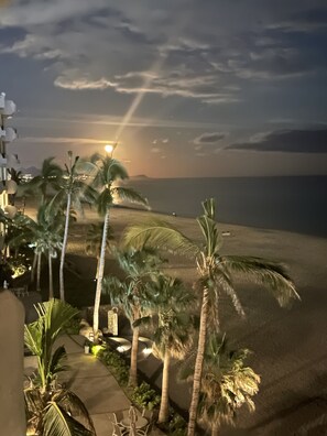 Vista de una playa con palmeras y un atardecer.