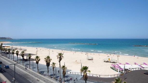 A beach with palm trees, a promenade, and a clear blue sky. - SEVEN Tel Aviv (Tel Aviv)
