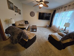 Smart TV, fireplace, books