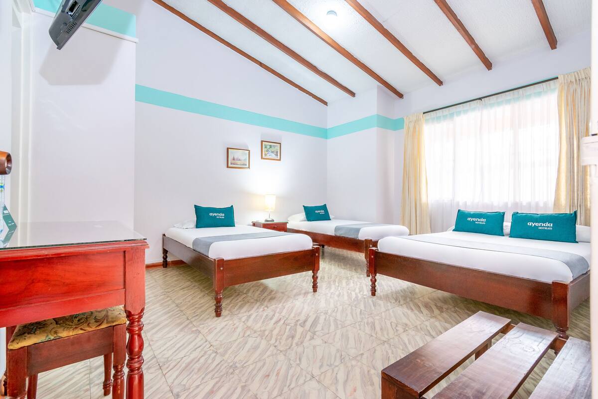 Hypo-allergenic bedding, laptop workspace, iron/ironing board, free WiFi