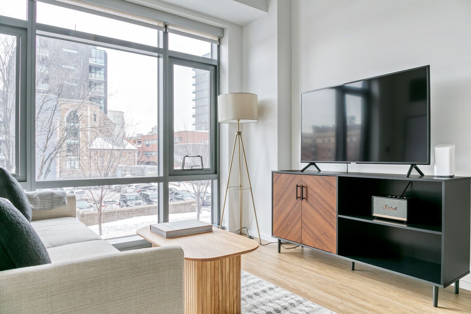 テレビ、ステレオ