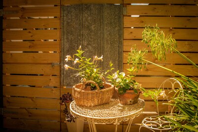 Views, nature, cosy,  close to wineries and hiking, campfire, dogs welcome