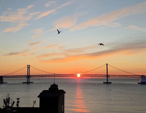 Un puente sobre el agua durante el atardecer con aves volando.