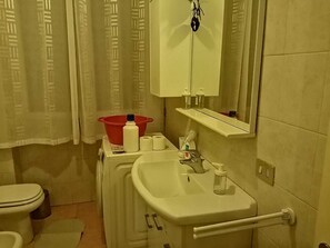 Chuveiro/banheira combinados, bidê, toalhas de banho, papel higiênico