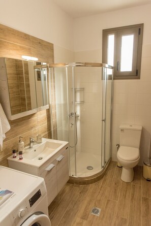 Regadera, secadora de cabello, toallas, jabón 