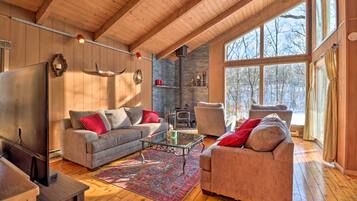 TV, fireplace, books