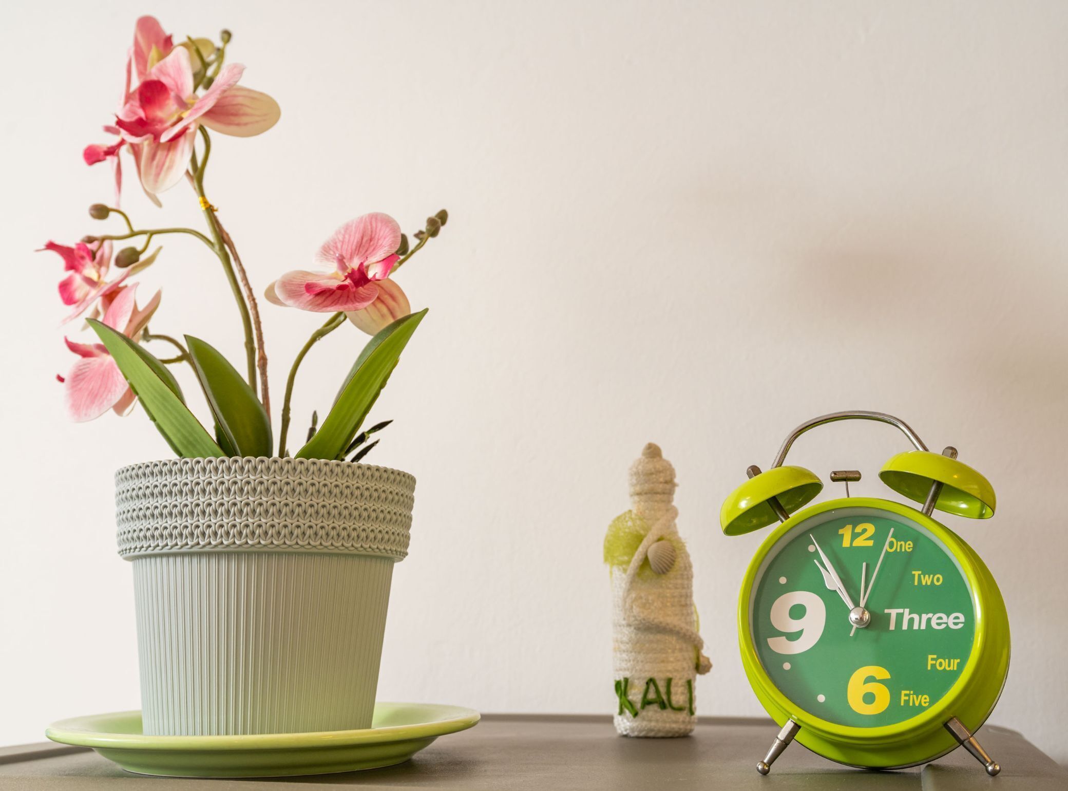 Una orquídia en test, una petita figura i un despertador verd sobre una taula.