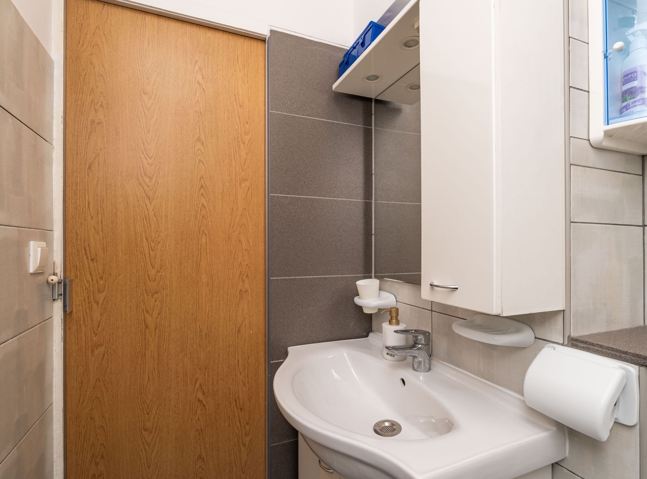 A bathroom with a wooden door, a white sink, a soap dispenser, and a towel dispenser.