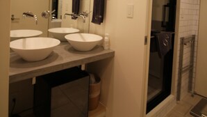 A modern bathroom with two sinks, a large mirror, and a walk-in shower.