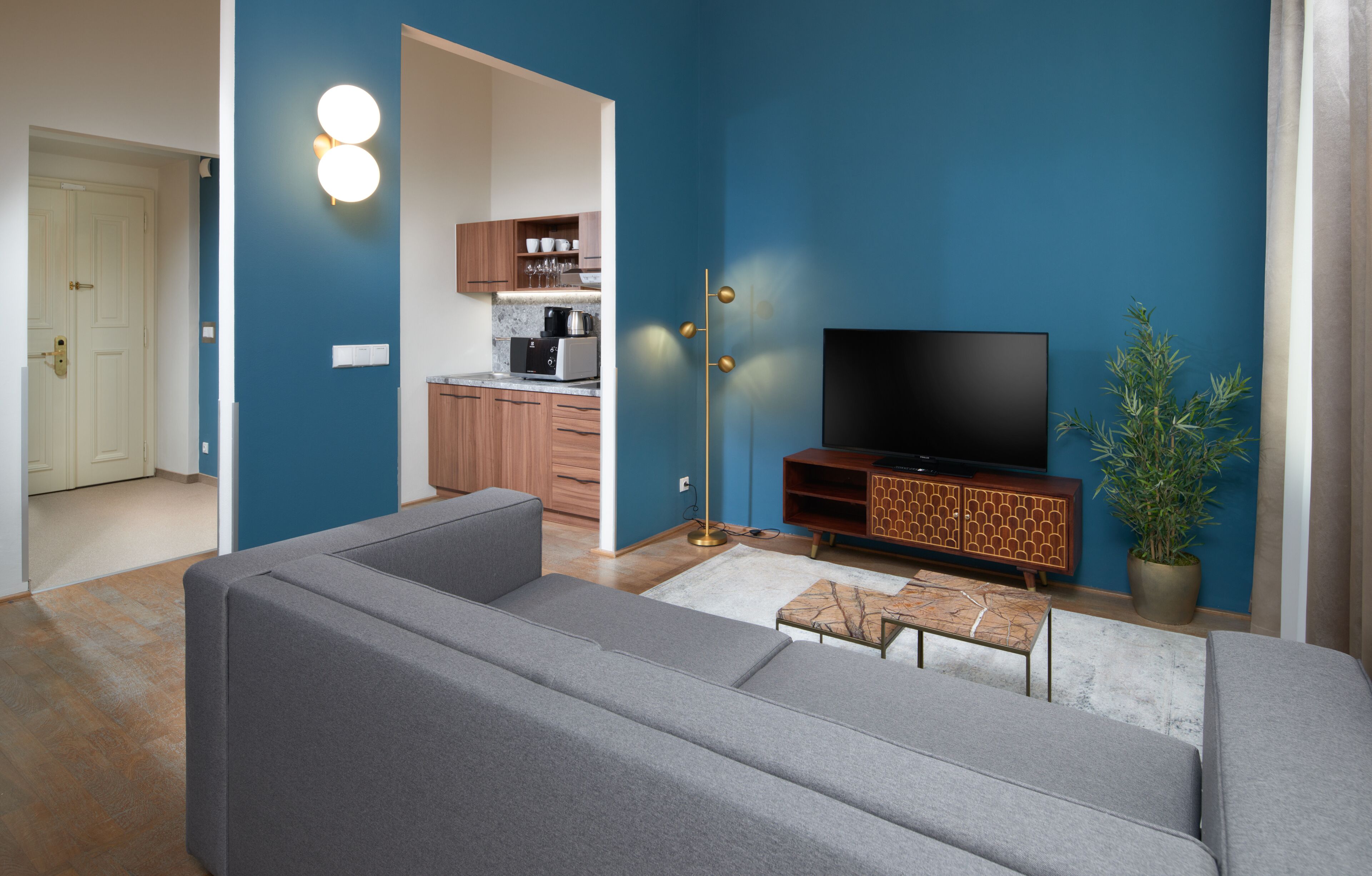 Een moderne woonkamer met een grijze bank, een flatscreen televisie en een potplant.