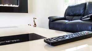 A remote control on a table in a modern living room with a black leather sofa and a giraffe figurine on the wall. - Protaras holiday villa - rentprivatevillas 045 (Protaras)