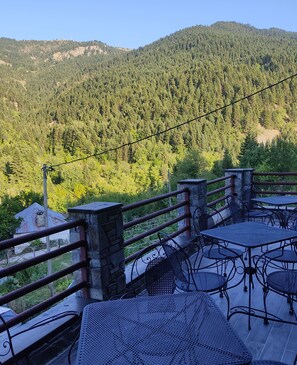 BBQ/picnic area - Yliessa Chalet (Karpenisi)