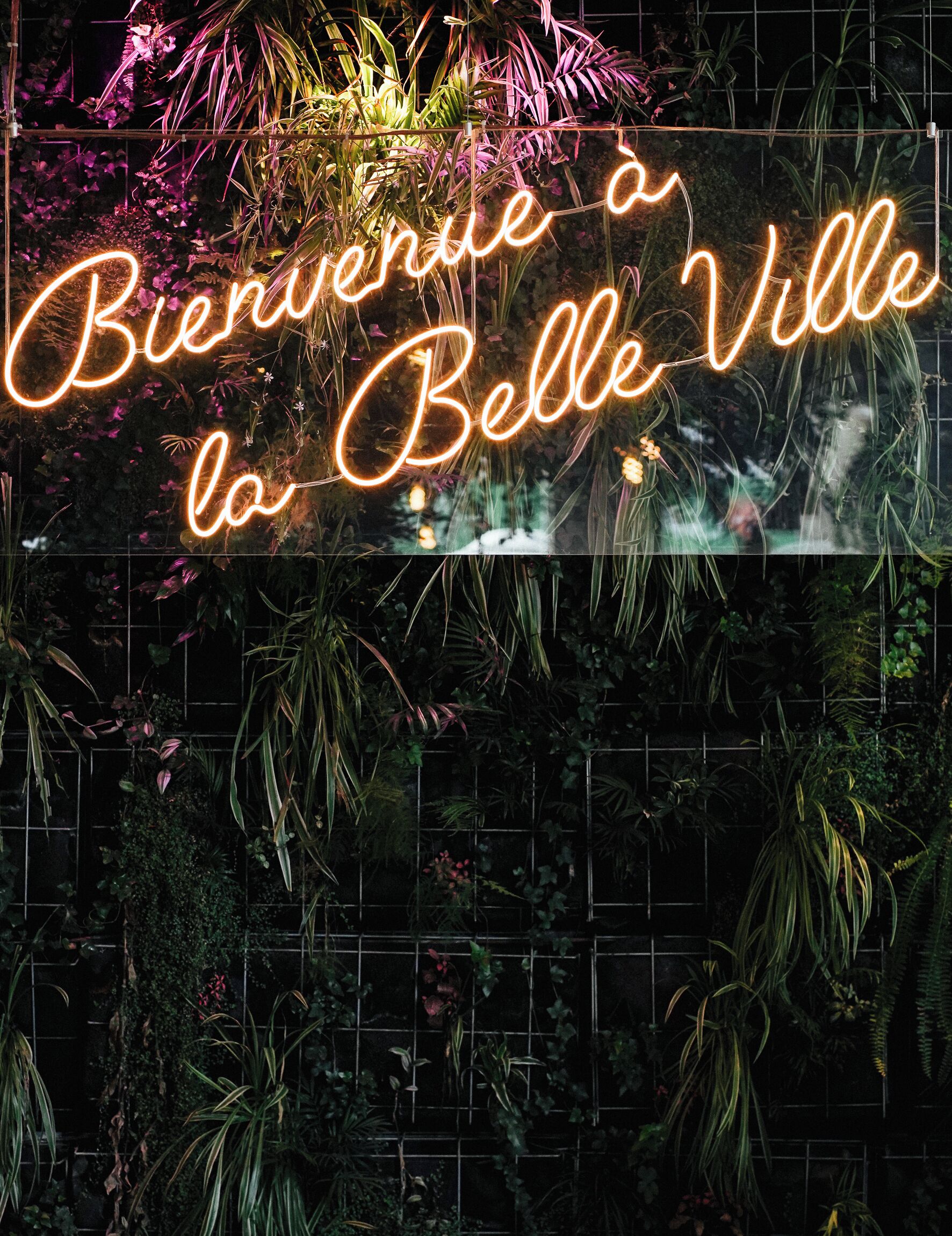 breakfast, lunch, dinner served; italian cuisine