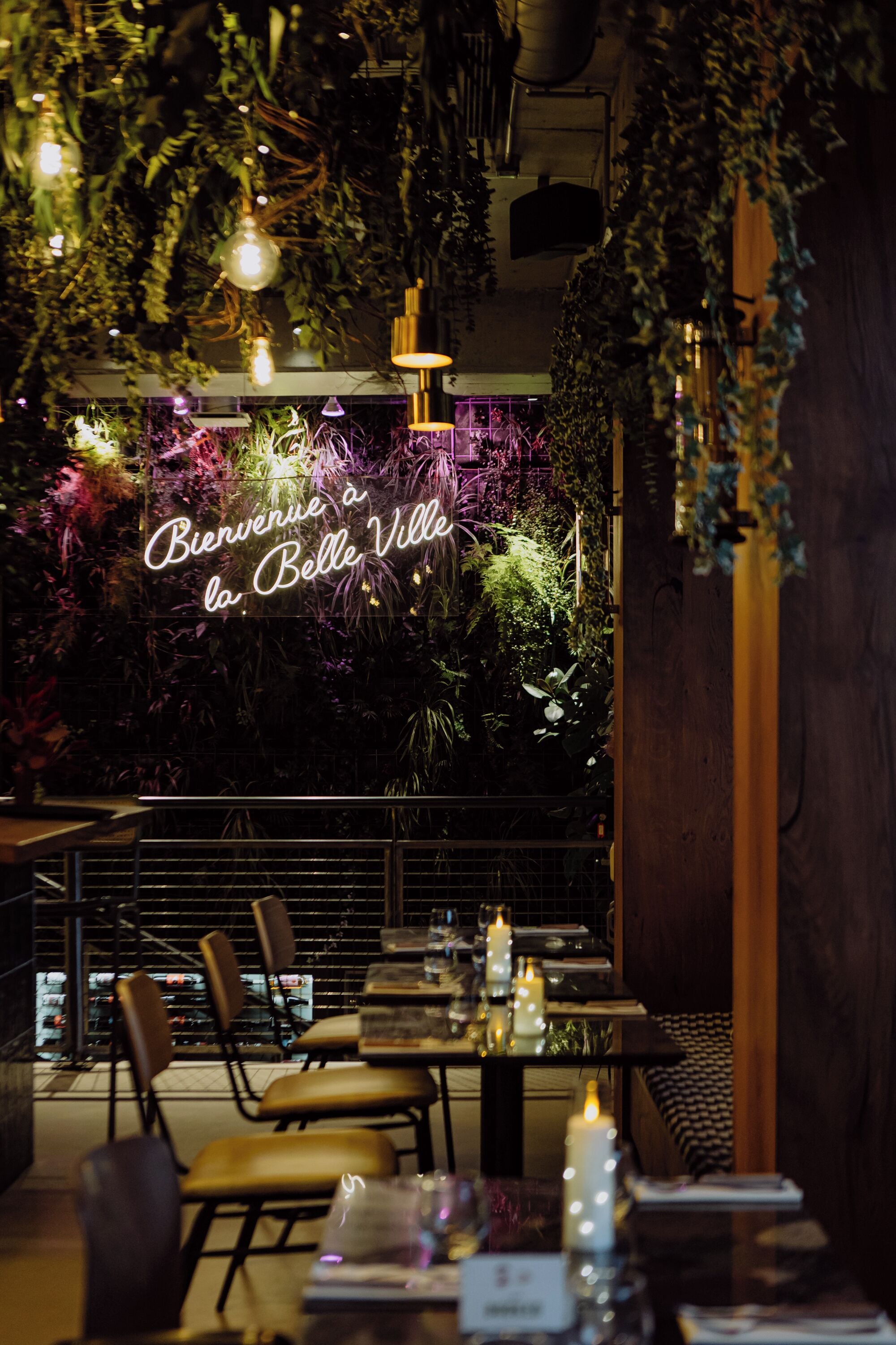 breakfast, lunch, dinner served; italian cuisine