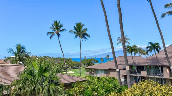 Un resort con edificios de varias plantas, palmeras y vista al océano.