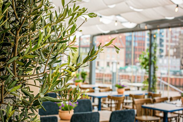 Local and international cuisine, al fresco dining