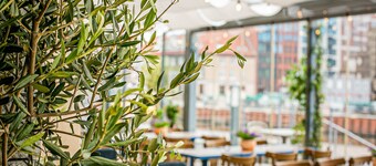 Hostel Szafarnia 10 Bed&Breakfast