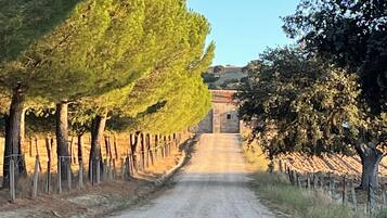 A gravel road flanked by rows of trees, leading to a stone building.