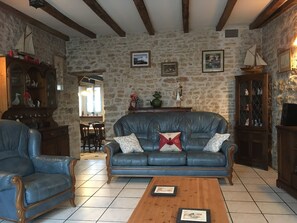 Télévision, cheminée, livres, médiathèque