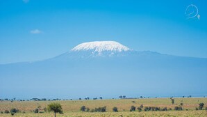 A snow-capped mountain in the distance with a flat landscape in the foreground. - Amanya Double Pitch Tent With Mt Kilimanjaro View (Amboseli)