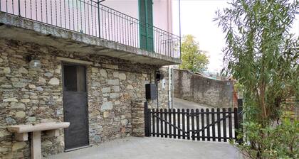Casa Rosa 51