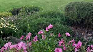 A grassy field with trees and pink flowers in the foreground. - Creekside Tranquility • Peaceful, Spacious Montana Home Near Missoula -20 Min (Florence)