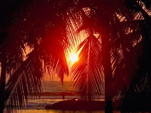 On the beach, beach towels - Luxury villa on the beach with spectacular ocean views, private pool and jacuzzi (Galle)