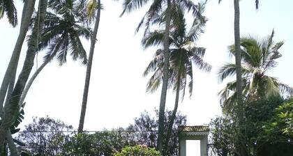 Luxury villa on the beach with spectacular ocean views, private pool and jacuzzi