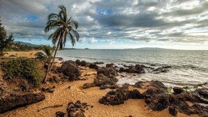 Ein Strand mit felsigem Gelände, Palmen und Blick auf den Ozean.