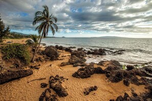 Nära stranden
