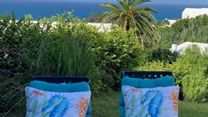 Two reclining chairs with ocean-themed cushions, positioned outdoors with a view of the sea and a palm tree in the background. - [A]MOUR AMOUR AMOUR

Lighthouse Views • Walk to Beaches • Classic Bermuda Charm (Hamilton)