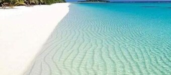 [A]MOUR AMOUR AMOUR The Heart of Hospitality